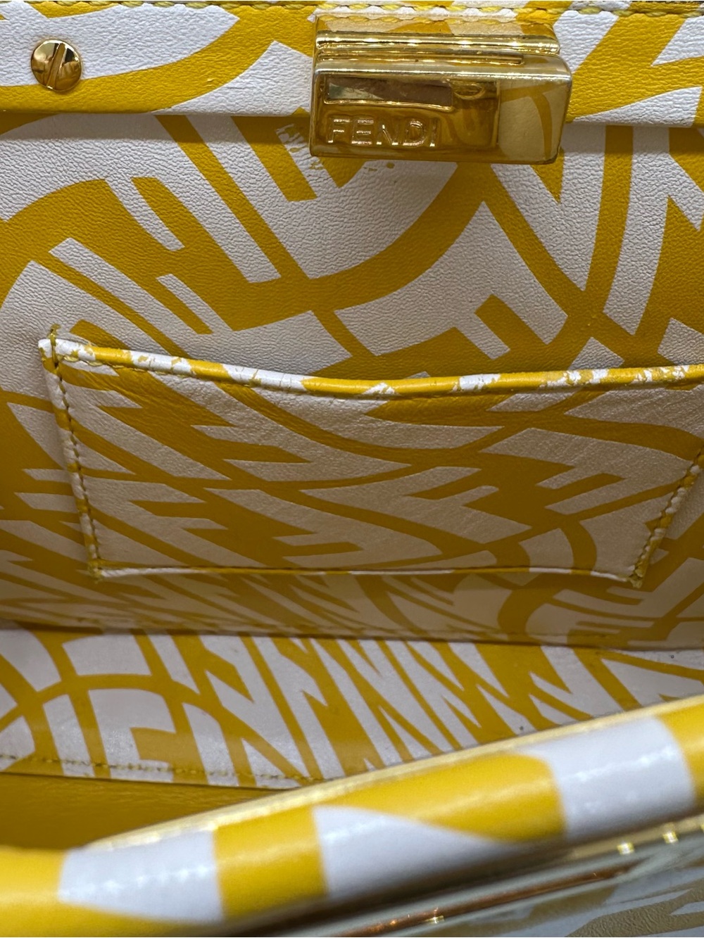 FENDI X SARAH COLEMAN Vertigo Peekaboo With Strap and Rain Cover - Picture 6 of 16